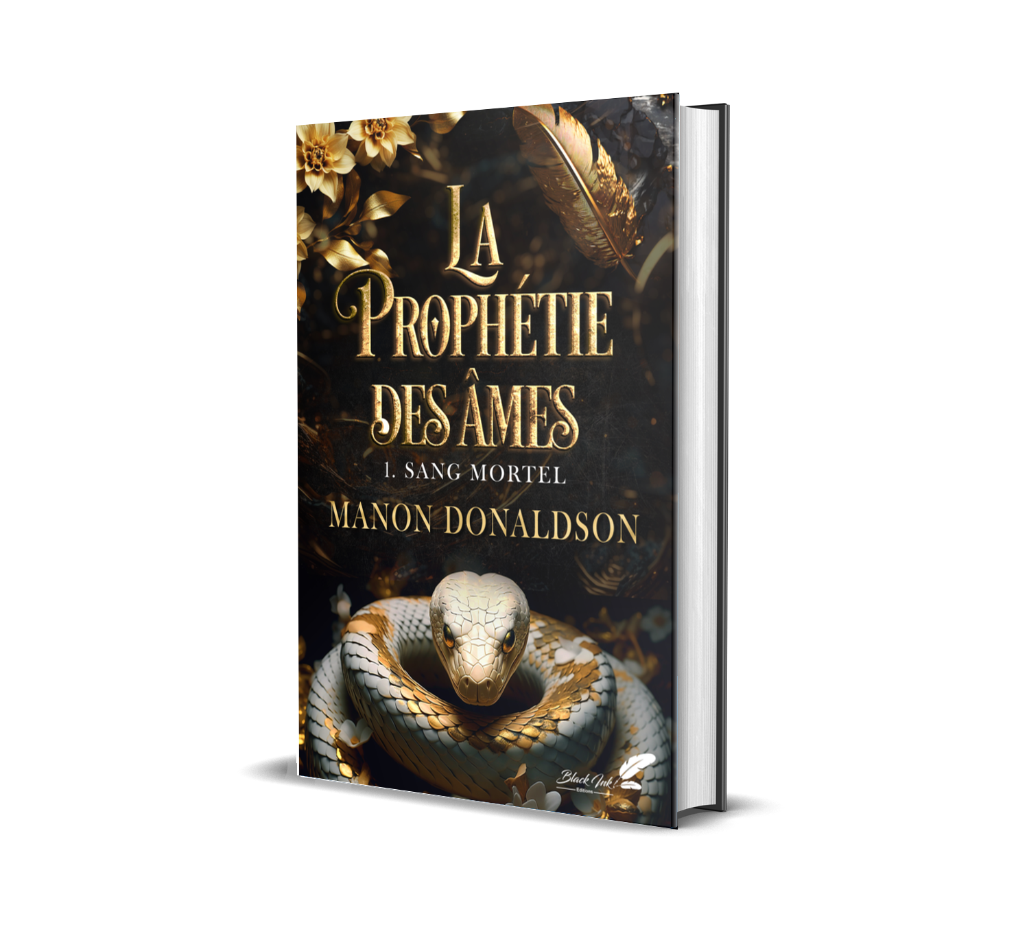 La prophétie des âmes T1