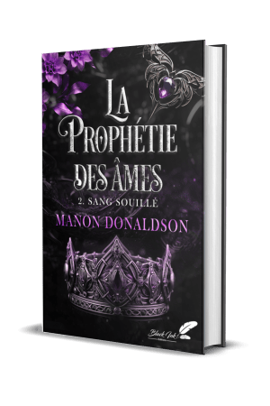 La prophétie des âmes T2