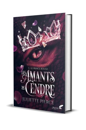 Les Amants de Cendre - T3